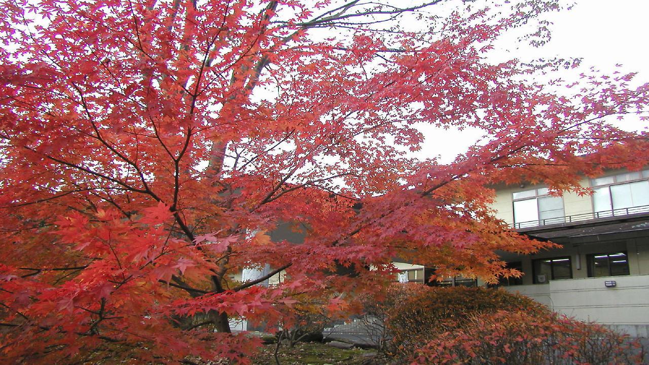 Hotel Natural Garden Nikkó Kültér fotó
